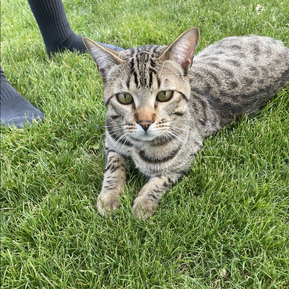 Meet your Posher, Ayden